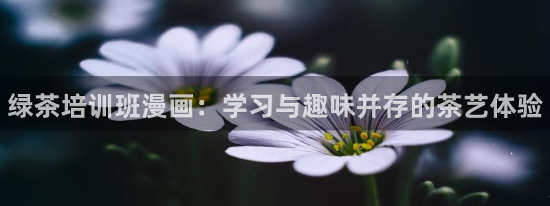歪歪漫画汗汗漫画页页网站