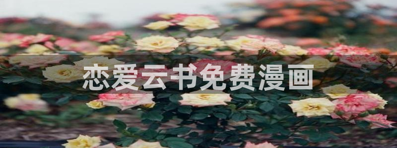 免费看汗汗漫画：恋爱云书免费漫画