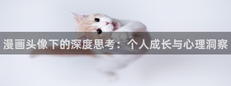 妖精漫画汗汗漫画：漫画头像下的深度思考：个人成长与心理洞察