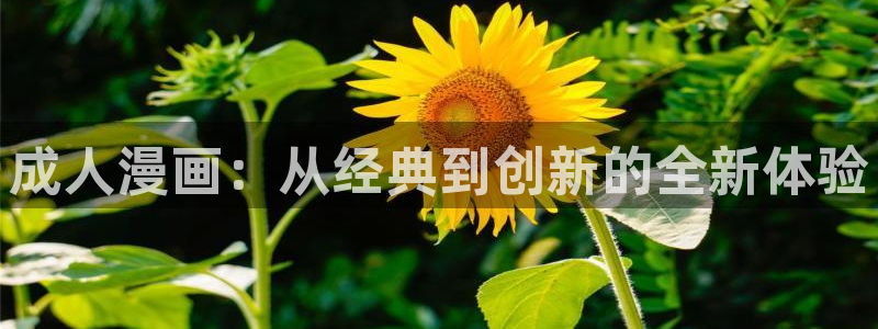 羞羞漫画歪歪汗汗漫画av