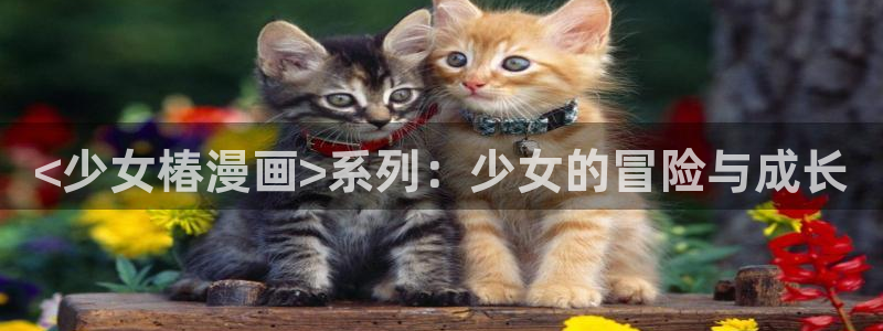 歪歪羞羞汗汗漫画