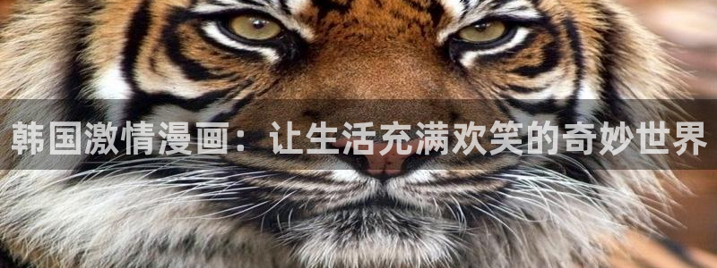 歪歪汗汗漫画网