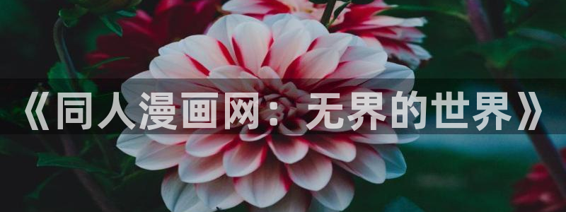 汗汗漫画最新