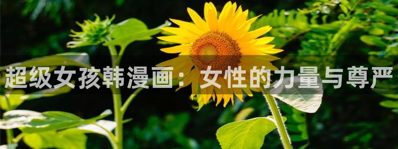 汗汗漫画网站入口：超级女孩韩漫画：女性的力量与尊严